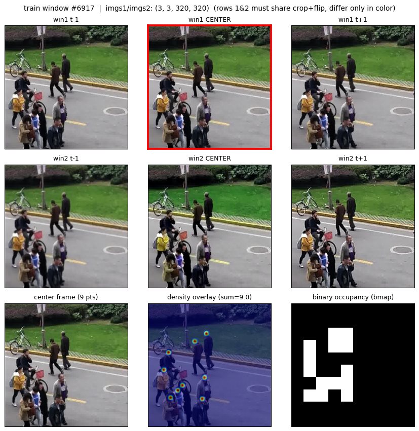 Grid of video frames from a training window, the center frame's annotated head points, its density overlay summing to 9, and a binary occupancy map